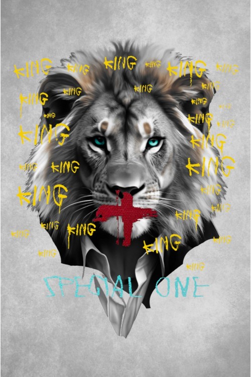 CAMISETA LA SAL M133