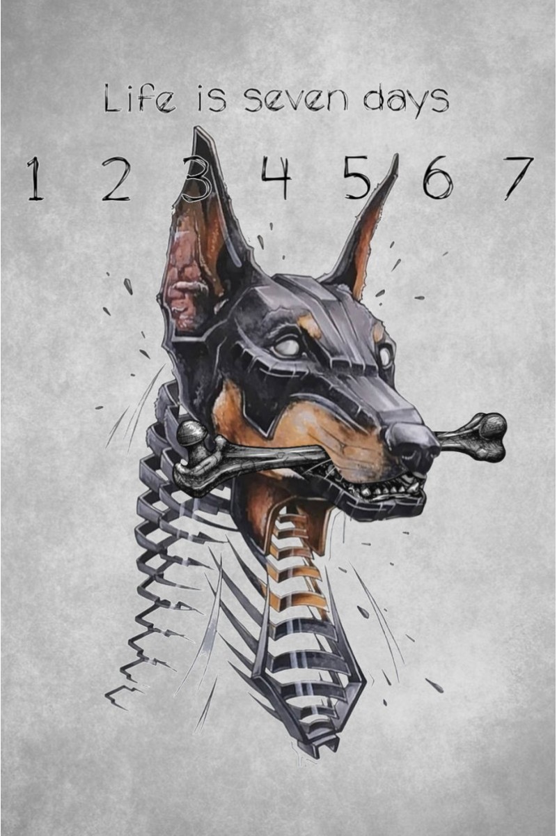  Camiseta La Sal DOG negra con ilustración digital y estilo urbano. Solo 100 unidades numeradas. Diseño exclusivo para destacar. 