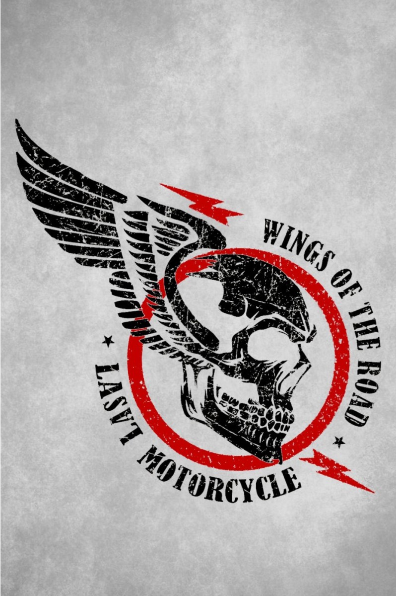 Camiseta La Sal WINGS negra con diseño de alas y estilo vintage. Edición limitada de 100 unidades numeradas. Confeccionada en algodón 180gr.  2
