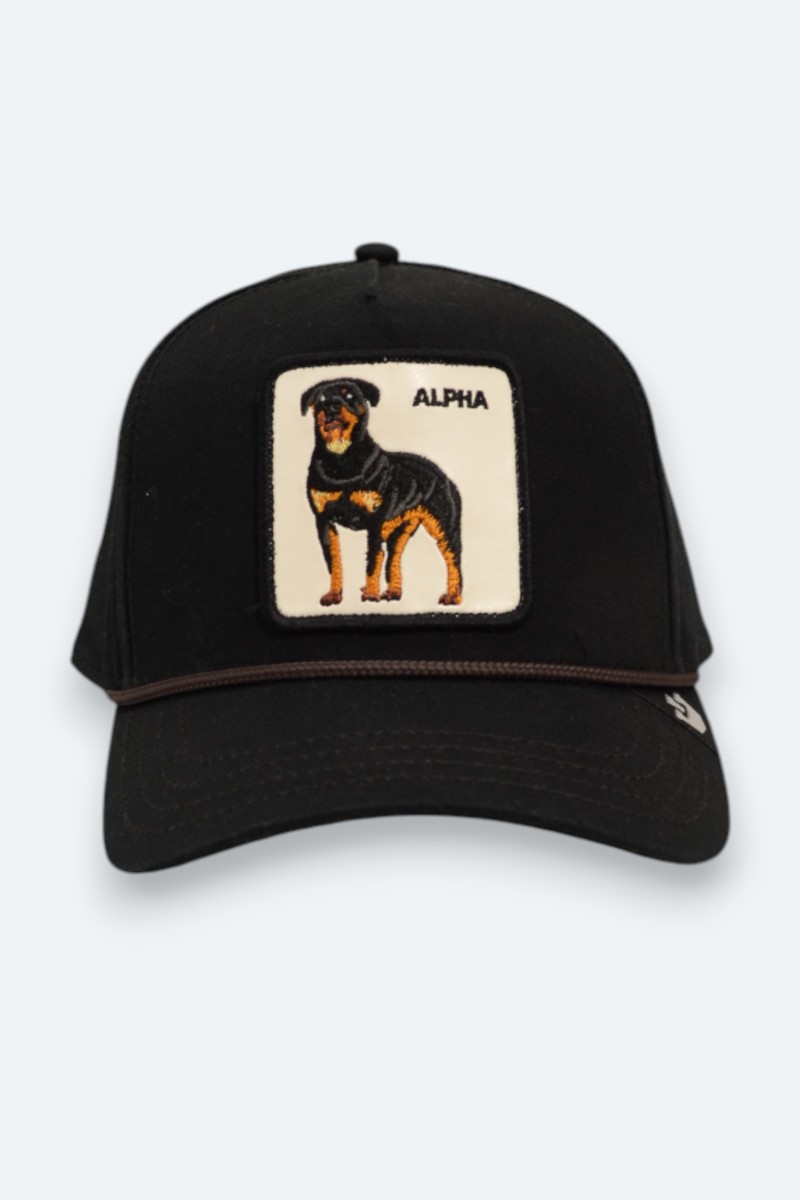 GORRA GOORIN M31