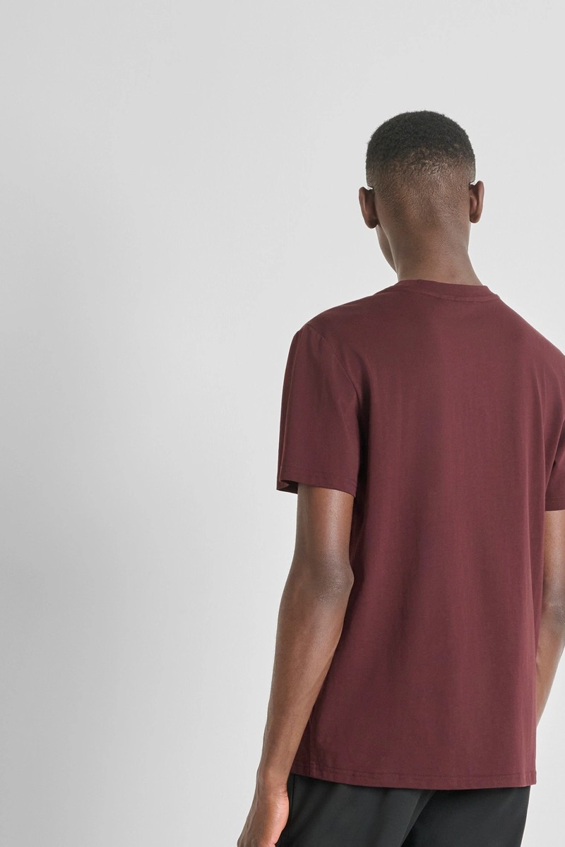  Camiseta Antony Morato en algodón 100 % con corte regular y logotipo frontal en efecto aterciopelado, ideal para un look casual con carácter. 