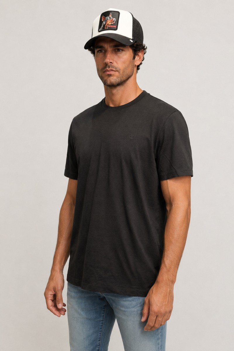  Camiseta Calvin Klein cómoda y versátil, perfecta para looks urbanos con estilo moderno y limpio.  2