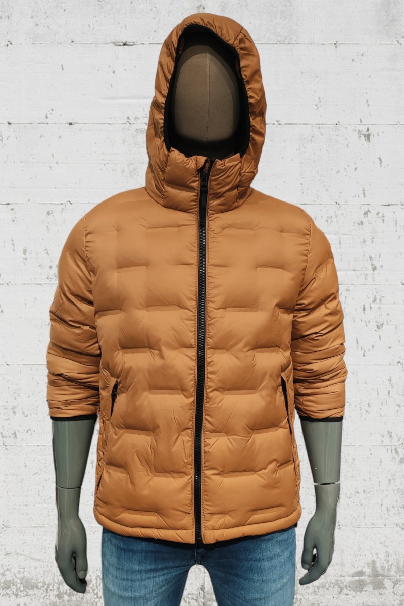  Cazadora Superdry  2